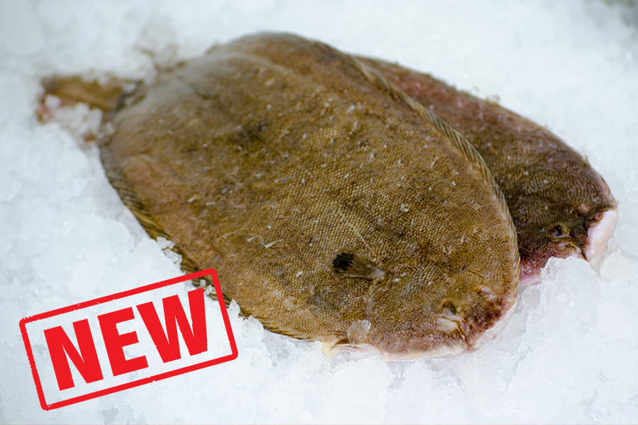 Dover Sole